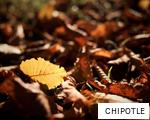 CHIPOTLE anagram