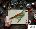 CHRI anagram
