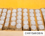 CHRYSAROBIN anagram