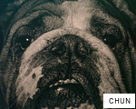 CHUN anagram