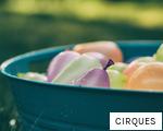 CIRQUES anagram