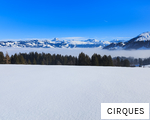 CIRQUES anagram
