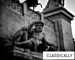 CLASSICALLY anagram