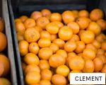 CLEMENT anagram
