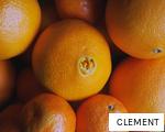 CLEMENT anagram