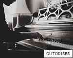 CLITORISES anagram