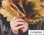 CLOAKING anagram