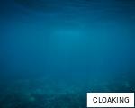 CLOAKING anagram