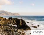 COASTS anagram