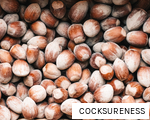 COCKSURENESS anagram