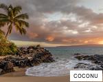 COCONU anagram