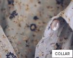 COLLAR anagram