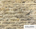 COLLIERS anagram