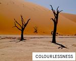 COLOURLESSNESS anagram