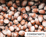 COMBATANTS anagram