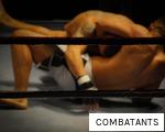 COMBATANTS anagram
