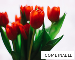 COMBINABLE anagram
