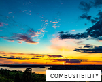 COMBUSTIBILITY anagram