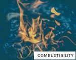 COMBUSTIBILITY anagram