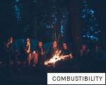 COMBUSTIBILITY anagram