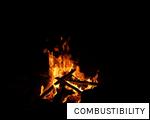 COMBUSTIBILITY anagram