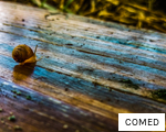 COMED anagram