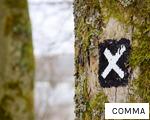 COMMA anagram