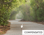 COMPENSATED anagram