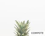 COMPOTE anagram