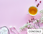 CONCEALS anagram