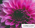 CONCLUDE anagram