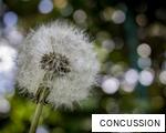 CONCUSSION anagram