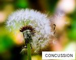 CONCUSSION anagram
