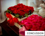 CONCUSSION anagram