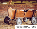 CONGLUTINATIONS anagram
