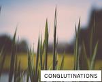 CONGLUTINATIONS anagram