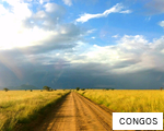 CONGOS anagram