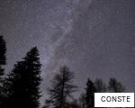 CONSTE anagram