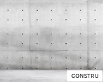 CONSTRU anagram
