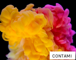 CONTAMI anagram