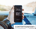 CONTENTEDNESSES anagram