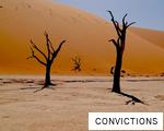 CONVICTIONS anagram