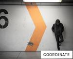 COORDINATE anagram