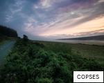 COPSES anagram