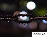 COPULAS anagram