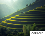 CORACLE anagram