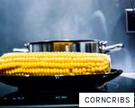 CORNCRIBS anagram