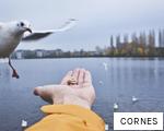 CORNES anagram