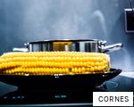 CORNES anagram