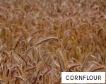 CORNFLOUR anagram